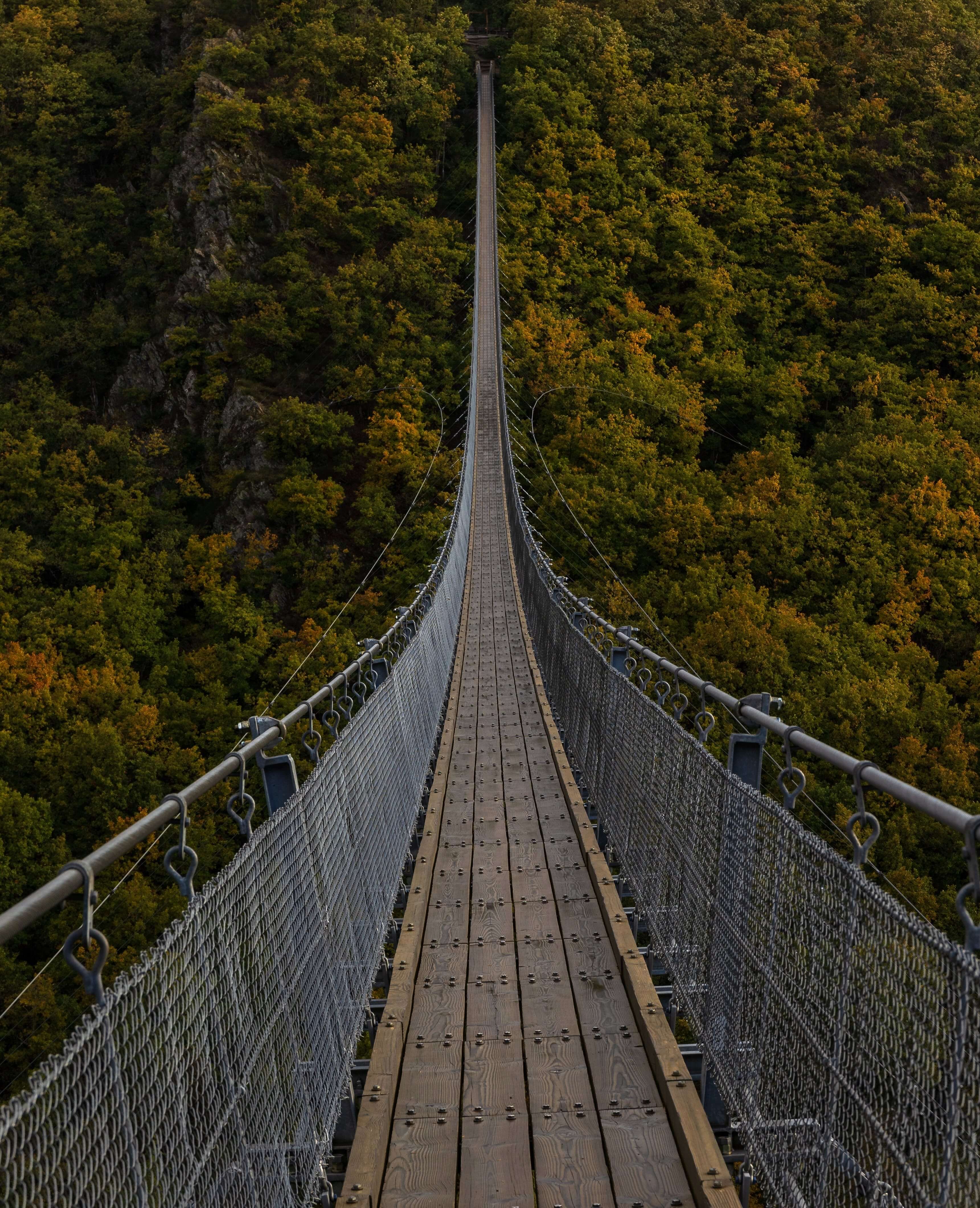 A beautiful landscape